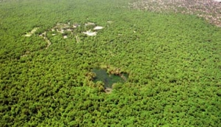 Parque ecologico